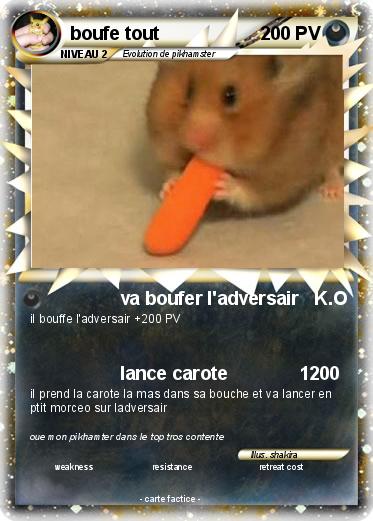 Pokemon boufe tout