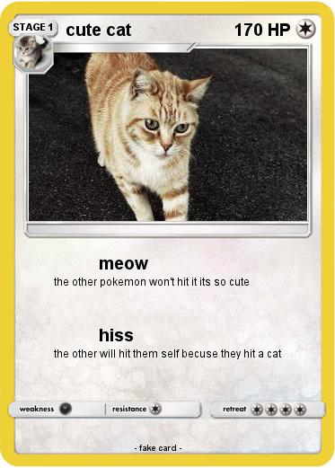 Pokemon cute cat