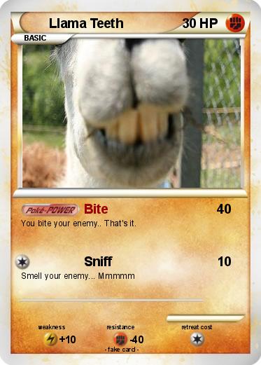 Pokemon Llama Teeth