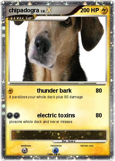 Pokemon chipadogra