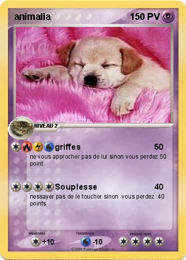 Pokemon animalia
