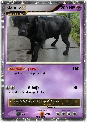 Pokemon slam