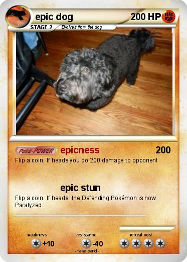 Pokemon epic dog
