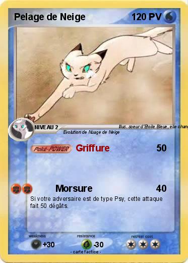 Pokemon Pelage de Neige