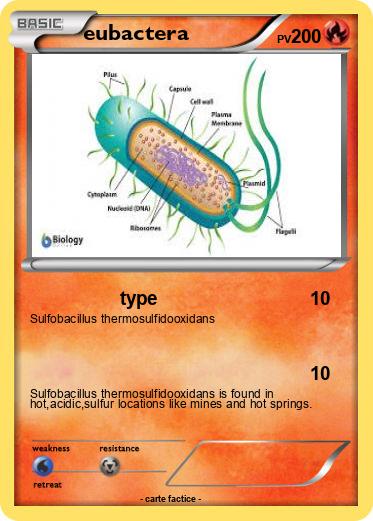 Pokemon eubactera