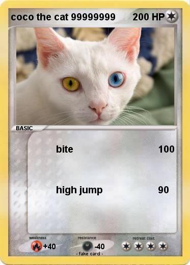 Pokemon coco the cat 99999999