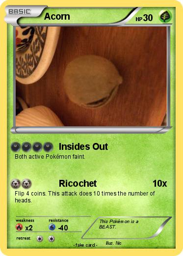 Pokemon Acorn