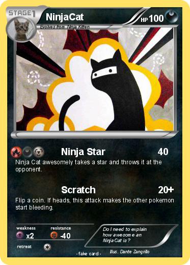 Pokemon NinjaCat