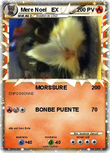Pokemon Mere Noel   EX