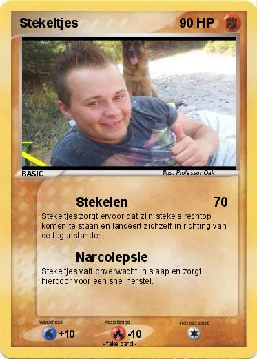 Pokemon Stekeltjes