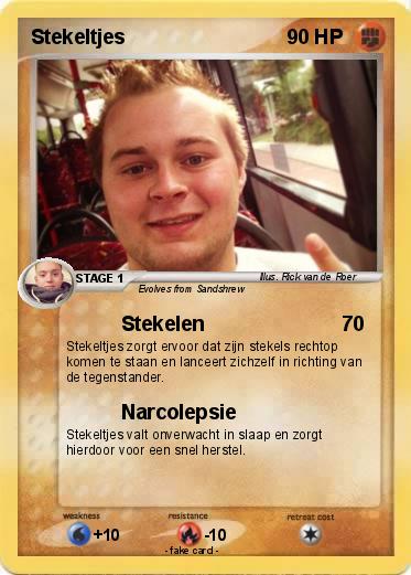Pokemon Stekeltjes