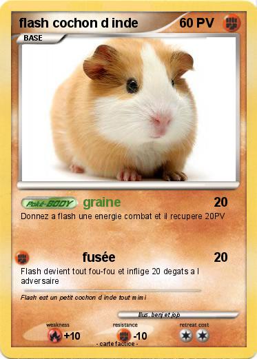 Pokémon flash cochon d inde - graine - Ma carte Pokémon