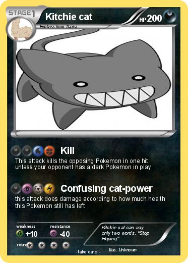 Pokemon Kitchie cat