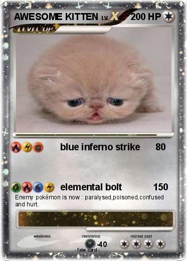 Pokemon AWESOME KITTEN