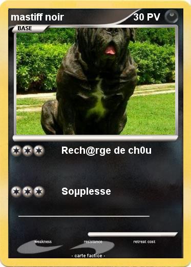 Pokemon mastiff noir
