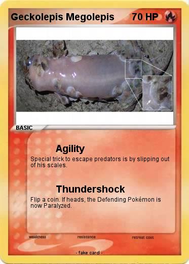 Pokemon Geckolepis Megolepis