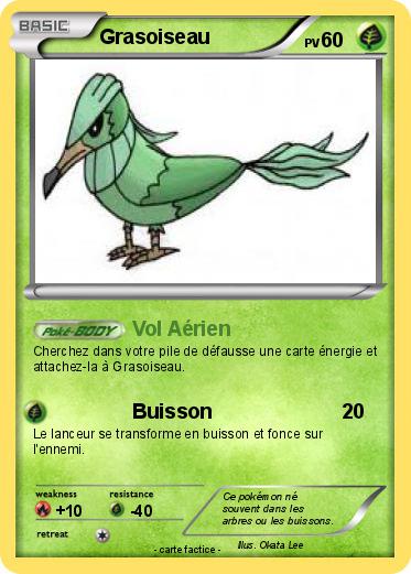 Pokemon Grasoiseau