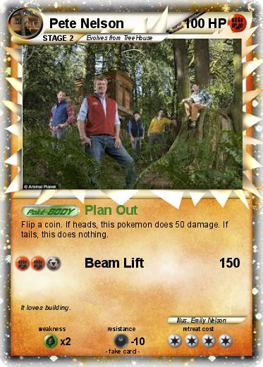Pokemon Pete Nelson