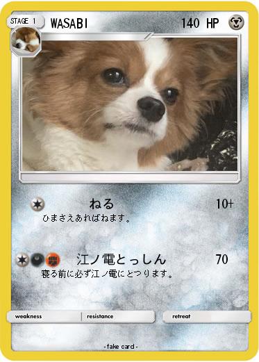Pokemon WASABI