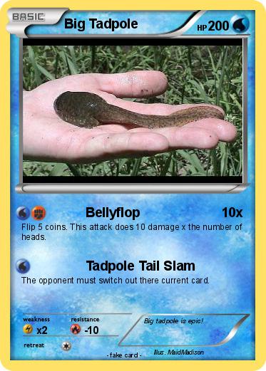 Pokemon Big Tadpole