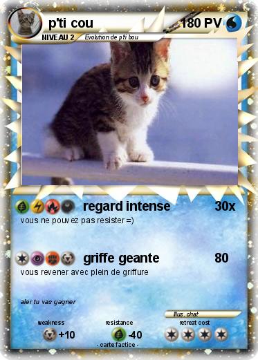 Pokemon p'ti cou