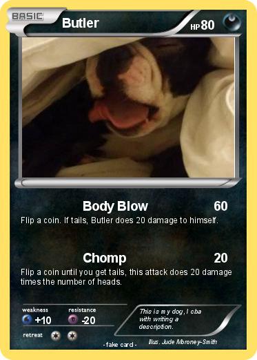 Pokemon Butler