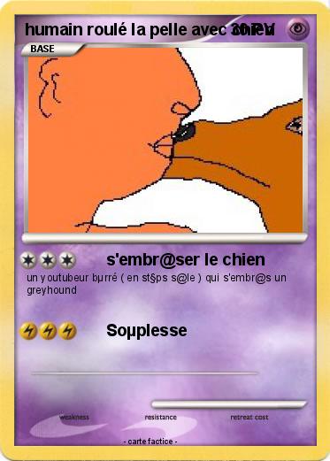 Pokemon humain roulé la pelle avec chien