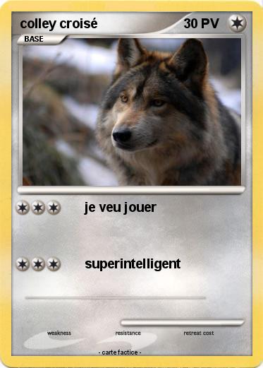 Pokemon colley croisé