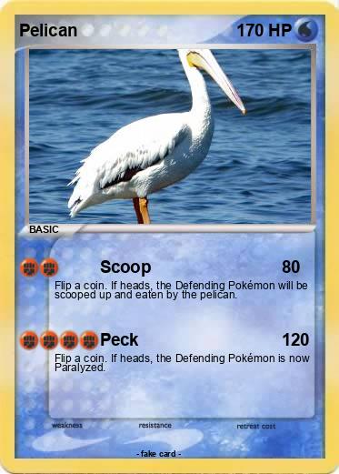 Pokemon Pelican