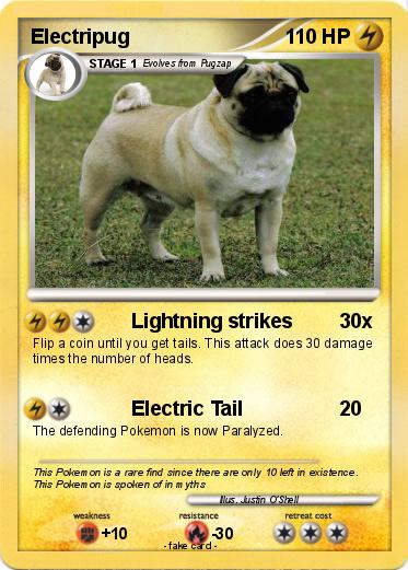 Pokemon Electripug