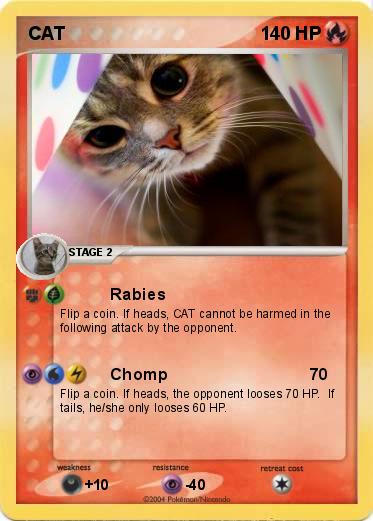Pokemon CAT