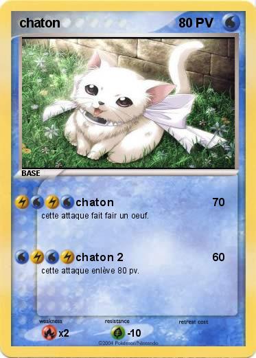 Pokemon chaton