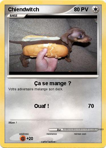 Pokemon Chiendwitch