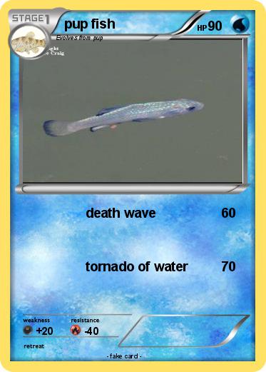 Pokemon pup fish