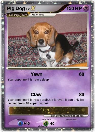 Pokemon Pig Dog