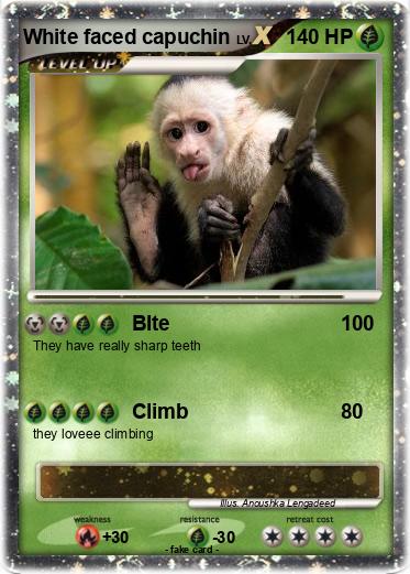 Pokemon White faced capuchin