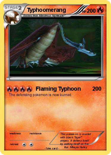 Pokemon Typhoomerang