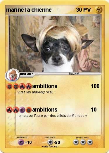 Pokemon marine la chienne