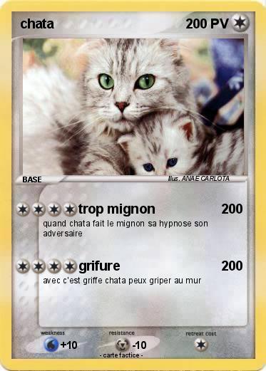 Pokemon chata