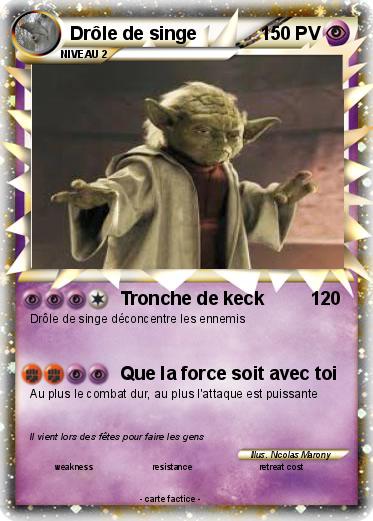 Pokemon Drôle de singe