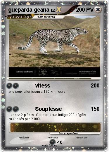 Pokemon gueparda geana