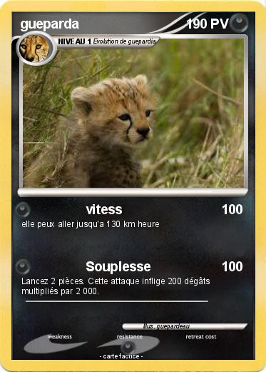 Pokemon gueparda