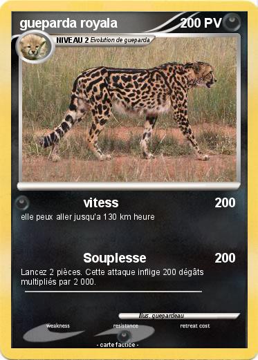 Pokemon gueparda royala