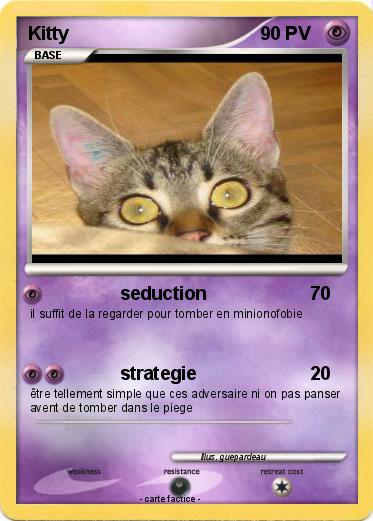 Pokemon Kitty