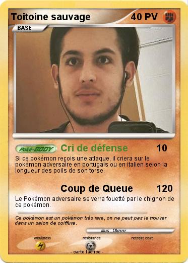 Pokemon Toitoine sauvage