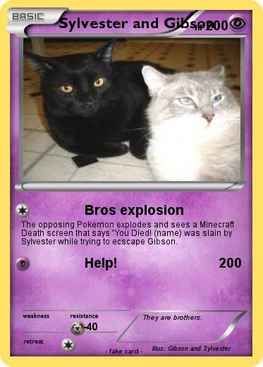 Pokemon Sylvester and Gibson