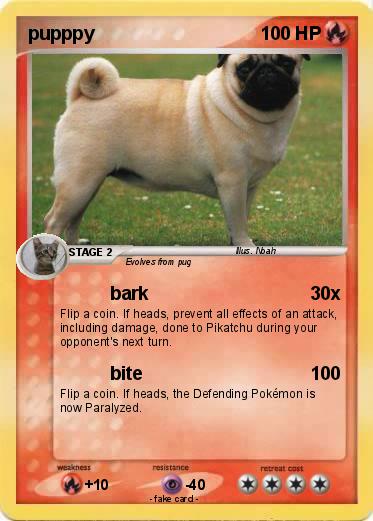 Pokemon pupppy