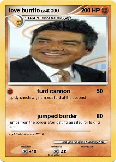 Pokemon love burrito
