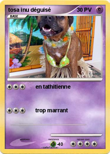 Pokemon tosa inu déguisé