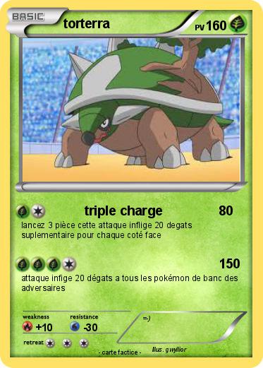 Pokemon torterra